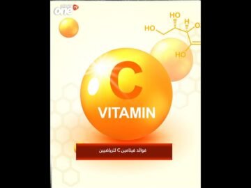 خاص: [ID: vmx569Y22Ic] Youtube Automatic