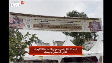 خاص: [ID: aEv-XPsMoAQ] Youtube Automatic