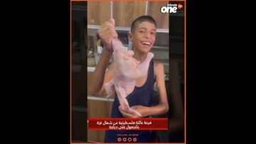 خاص: [ID: dF0kOgHVLYc] Youtube Automatic