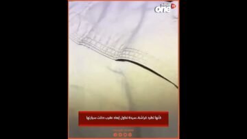 خاص: [ID: EHJ1ZrNYDHM] Youtube Automatic