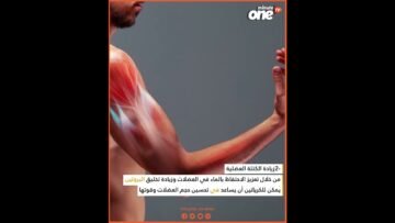 خاص: [ID: elq-6ND16uE] Youtube Automatic