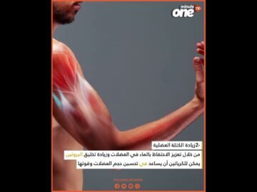 خاص: [ID: elq-6ND16uE] Youtube Automatic