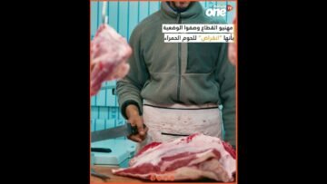 خاص: [ID: i-CfmwbD1fM] Youtube Automatic