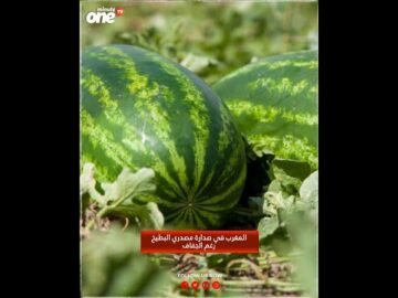 خاص: [ID: ifAKzsV1y7o] Youtube Automatic