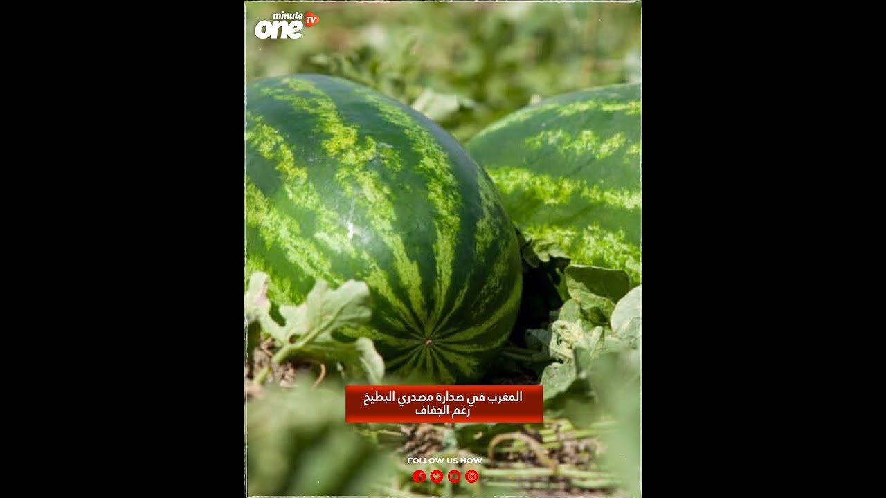 التحميل المسبق صورة