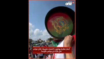 خاص: [ID: sd8M9HWmXlA] Youtube Automatic