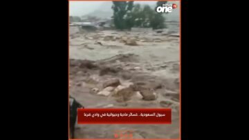 خاص: [ID: StGevUcwyVw] Youtube Automatic