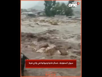 خاص: [ID: StGevUcwyVw] Youtube Automatic