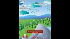 خاص: [ID: tg7gMILmiiA] Youtube Automatic