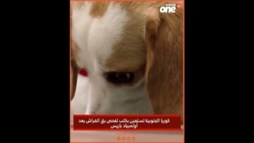 خاص: [ID: uJXTmHihfo4] Youtube Automatic