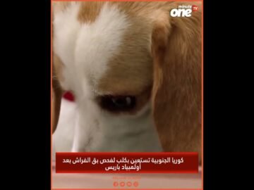 خاص: [ID: uJXTmHihfo4] Youtube Automatic