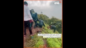 خاص: [ID: Zwt5EkpnRiE] Youtube Automatic