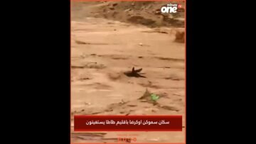 خاص: [ID: auCN9qb2ofU] Youtube Automatic