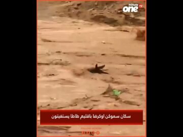 خاص: [ID: auCN9qb2ofU] Youtube Automatic