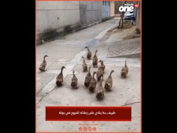 خاص: [ID: h0BnTUPysY8] Youtube Automatic