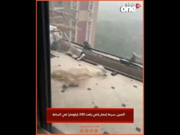 خاص: [ID: Le1MDaUKBf4] Youtube Automatic