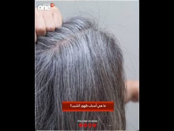 خاص: [ID: MIyYIvpvGLU] Youtube Automatic