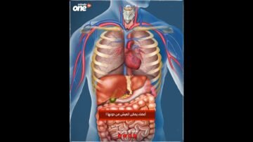 خاص: [ID: n4BZWaQGPF8] Youtube Automatic