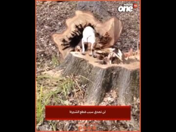 خاص: [ID: nrOqVUJaUcg] Youtube Automatic