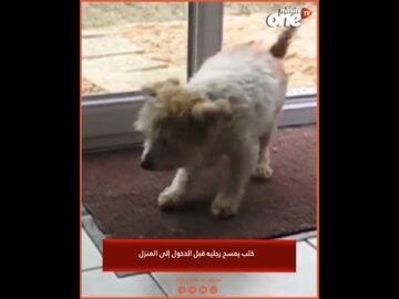 خاص: [ID: r3kJ4p2oWYA] Youtube Automatic