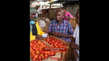 خاص: [ID: TVVeYcCQijg] Youtube Automatic