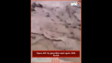 خاص: [ID: Uf6vJK6QuUc] Youtube Automatic