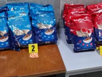 ARticle-psd-Recovered-Recovered-Recovered