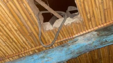 IMG-20241020-WA0004-750×430