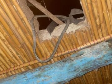 IMG-20241020-WA0004-750×430