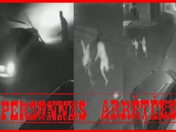 WhatsApp Image 2024-10-09 à 16.55.25_53a420e1