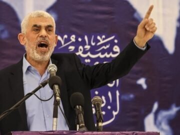 WhatsApp Image 2024-10-17 à 15.28.28_a34cb2ab