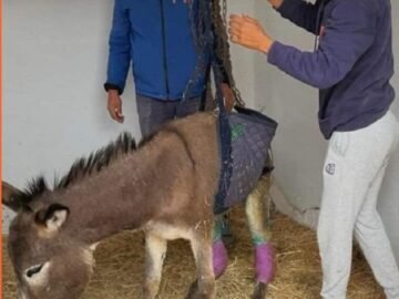 WhatsApp Image 2024-10-17 à 16.09.51_e1c6d4fe