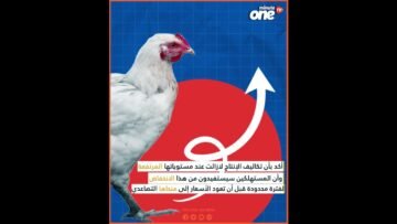 خاص: [ID: MsEKSS2-Iyk] Youtube Automatic