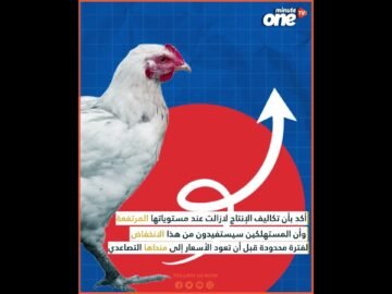 خاص: [ID: MsEKSS2-Iyk] Youtube Automatic