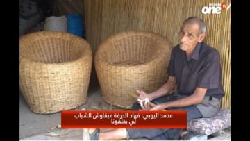 خاص: [ID: O0bi1chRJr8] Youtube Automatic