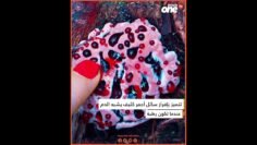 خاص: [ID: W7Re8oC9kyE] Youtube Automatic