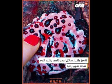 خاص: [ID: W7Re8oC9kyE] Youtube Automatic