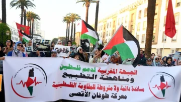 manifestation-palestine