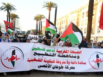 manifestation-palestine