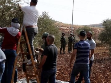 thumbs_b_c_1baa90bddf4f80ff661032b7d2d92c99