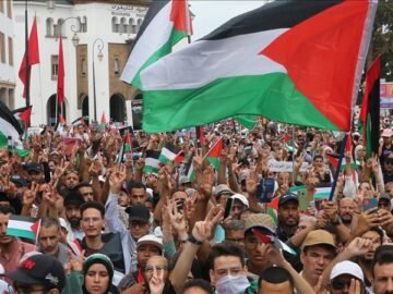 thumbs_b_c_4b1947e2f83b20598ec707538f1f76d4