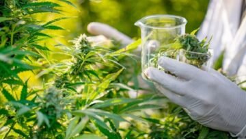 0caa1719fe6025d0212d7553a23dac4c62c6ae71