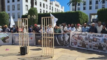 347004911-1024×472-1-800×369