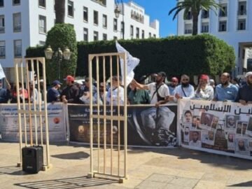 347004911-1024×472-1-800×369