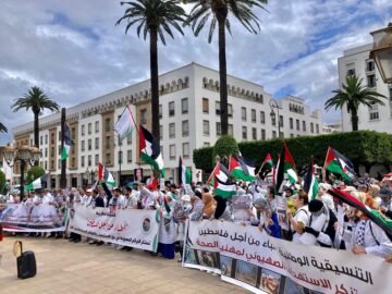 8478a51d-9e21-4343-a90a-cc3edc8d0af6-scaled