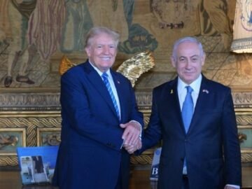 WhatsApp Image 2024-11-06 at 10.13.56