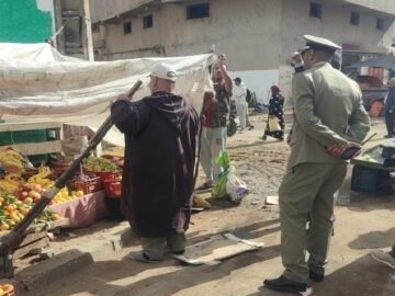 WhatsApp Image 2024-11-15 at 12.48.13