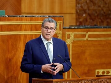 WhatsApp Image 2024-11-19 at 16.43.13