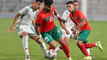 WhatsApp Image 2024-11-21 at 11.46.31