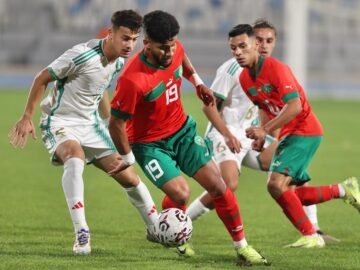 WhatsApp Image 2024-11-21 at 11.46.31